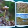 Ten thousand years deep (book) Image 2