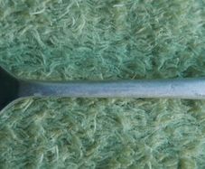 Vintage  Silver Plated Spoon