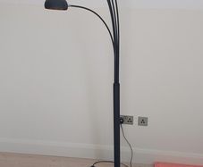 Study Lamp