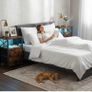 Bedside Table Set of 2, Side Table with Charging Station and Led Lights Image 7