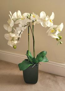 Artificial Orchid plant"