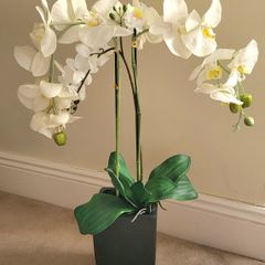 Artificial Orchid plant"