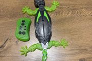 Walking Lizard