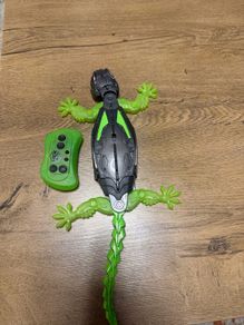 Walking Lizard