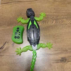 Walking Lizard