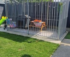 Dog Run