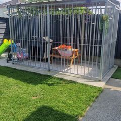 Dog Run