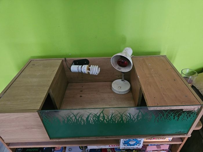 Tortoise / Reptile Start up Enclosure for Sale