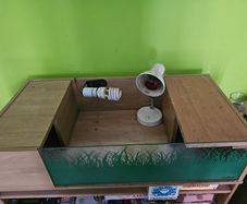 Tortoise / Reptile Start up Enclosure for Sale