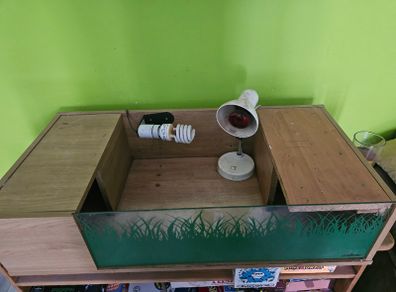 Tortoise / Reptile Start up Enclosure for Sale