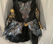 Spider web costume , age 6 to 8
