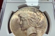 1925 Peace Dollar NCG Slabbed Original Purple/ Champagne Toning