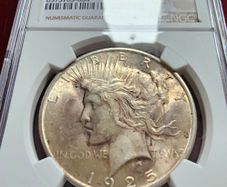 1925 Peace Dollar NCG Slabbed Original Purple/ Champagne Toning