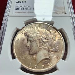 1925 Peace Dollar NCG Slabbed Original Purple/ Champagne Toning