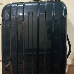 luggage suitcase large expandable