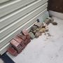 free bricks and stone