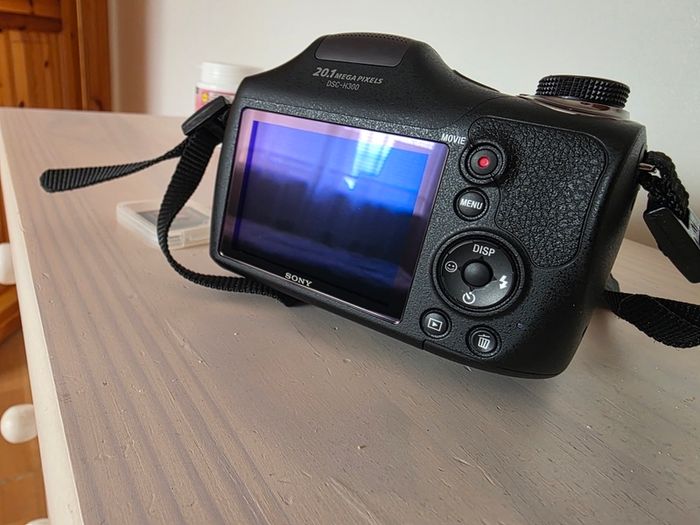 Sony Dsc-h300