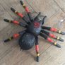 Robo Alive Giant Tarantula Spider Image 2