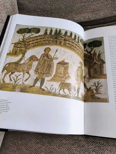 La Mosaique en Tunisie the mosaics of Tunisia large coffee table book in very good condition with no issues 270 pages with lots of pictures etc see photos FREE STANDARD POSTAGE INCLUDED