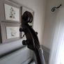 Double bass Image 4