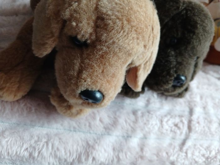Keel Toys Basil Chocolate Brown Labrador Dog Laying Soft Plush Toy  Puppy