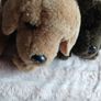 Keel Toys Basil Chocolate Brown Labrador Dog Laying Soft Plush Toy  Puppy Image 4