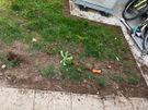 Front & Rear Garden Services  Gravel, Slabbing & Ground Prep Free Quotes Image 4