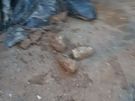 garden services Image 10