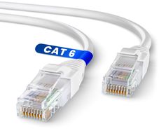 cat6
