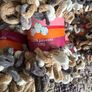 Huge bundle of finger knitting loop yarn wool 52 balls Image 10