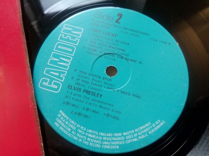 Elvis Presley Vinyls Bundle