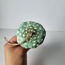 Handcrafted Cotton spoon mushroom Image 6