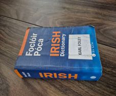 irish dictionary