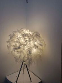 Feather lamp