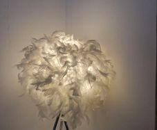 Feather lamp