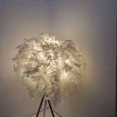 Feather lamp