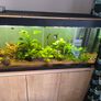 fluval Roma 240 litre Image 2