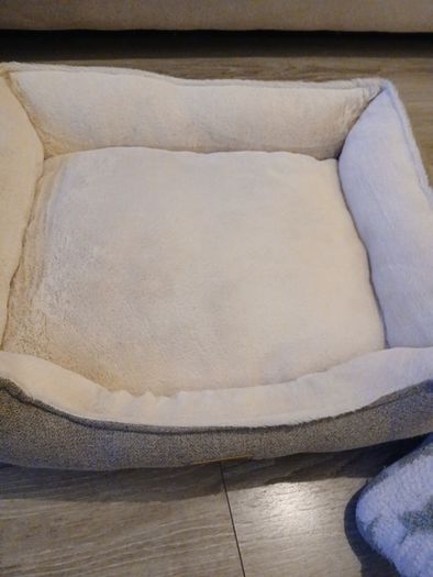 Small dog bed or suits cat
