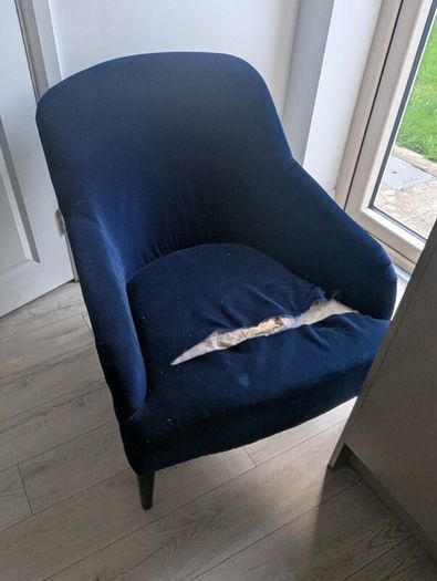 Armchair