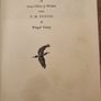 Salar The Salmon. By Henry  Williamson. Beautiful  Vintage Paperback In  Fair Condition.36. Image 7