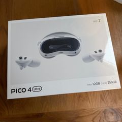 Pico VR Ultra Headset