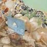 Shadow Box Image 9