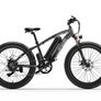 Gogobest Gf600 Electric Bike Image 10