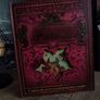 A Field Guide To Fairies ! Beautiful Pop-up Book ! Hardcover ! 2009 ! by Kingfisher ! Image 2
