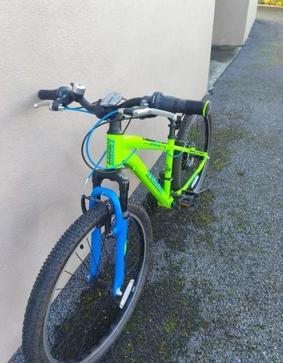 Boys 20 Inch Bicycle