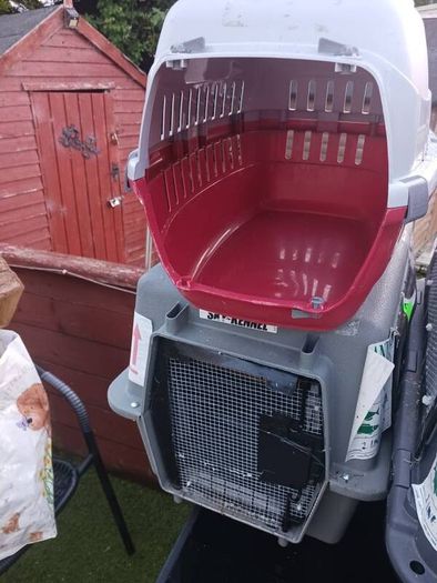 cat and dog carry cages