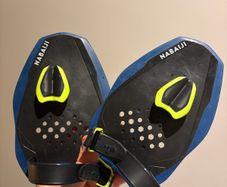 Palmar Nabaiji