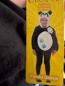 Panda  costume