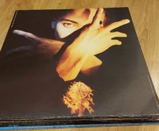 Terence Trent Darby - Neither Fish Nor Flesh - Vinyl Lp