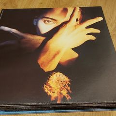 Terence Trent Darby - Neither Fish Nor Flesh - Vinyl Lp
